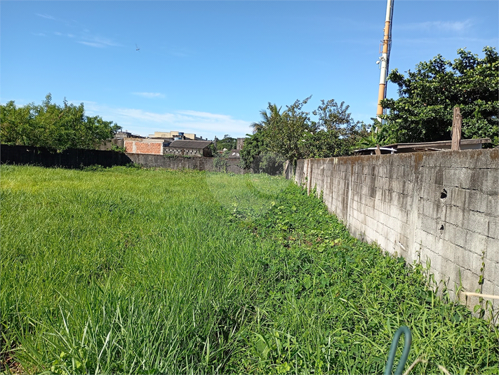 Foto REO1096174