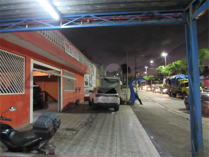 Foto REO1096175
