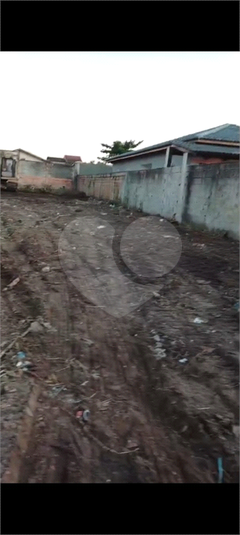 Foto REO1096177