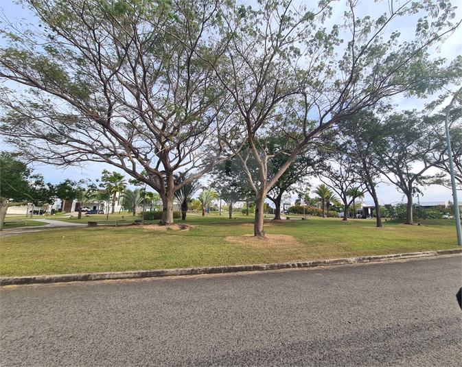 Foto REO1096179