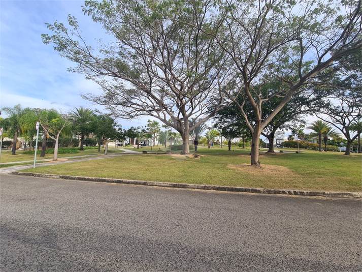 Foto REO1096179