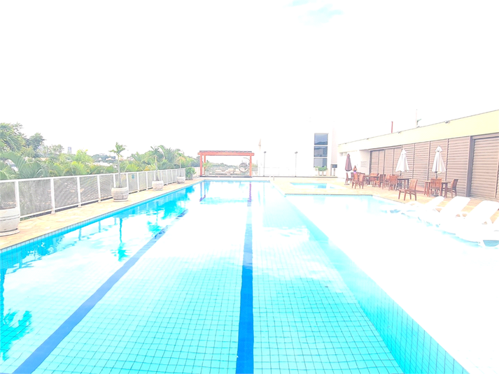 Foto REO1096179