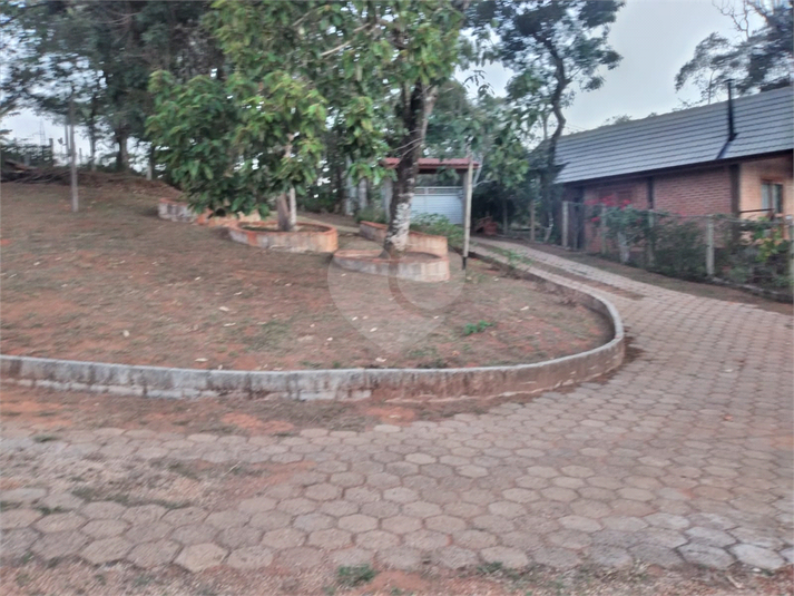 Foto REO1096185