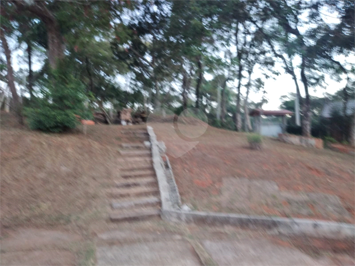 Foto REO1096185