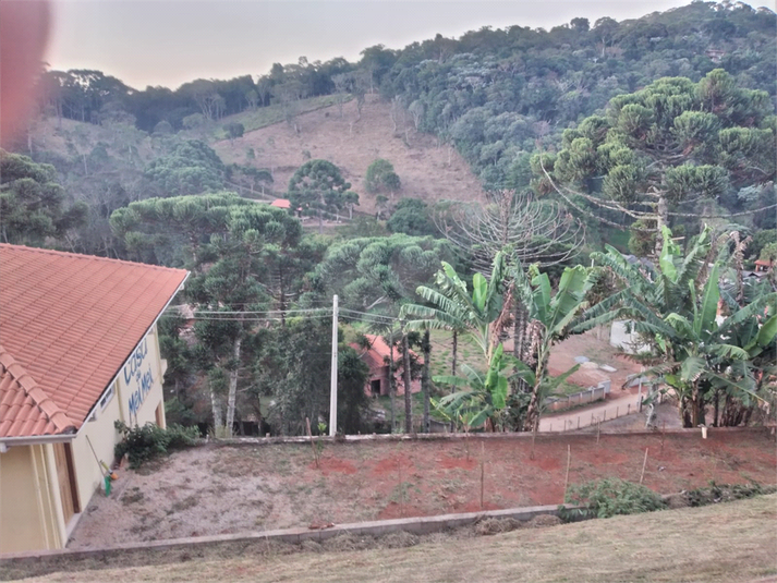 Foto REO1096185