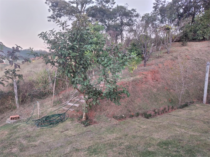 Foto REO1096185