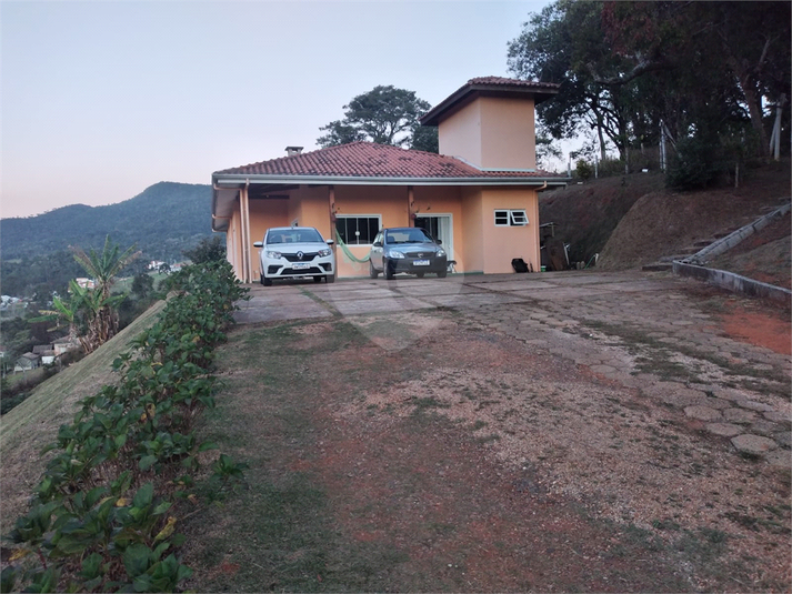 Foto REO1096185