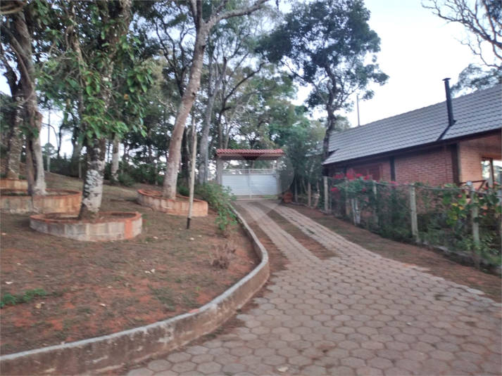 Foto REO1096185
