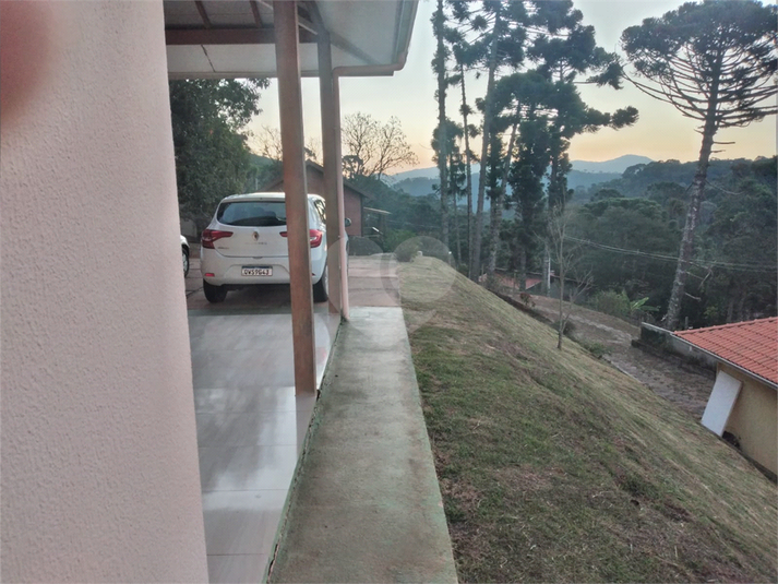 Foto REO1096185
