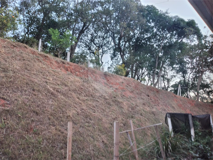 Foto REO1096185