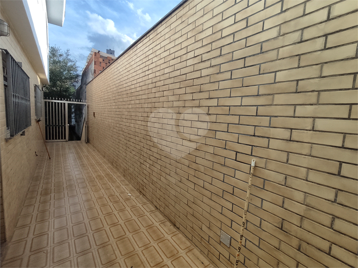 Foto REO1096190