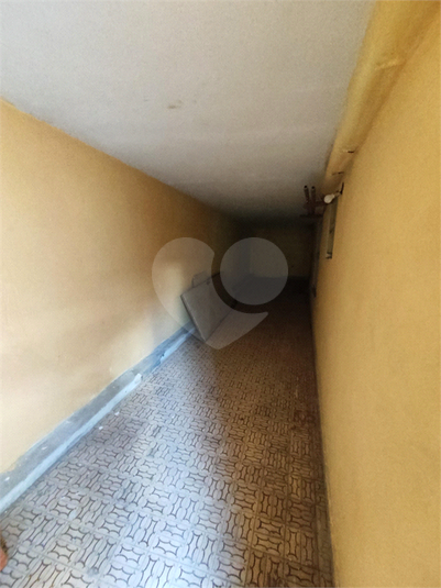 Foto REO1096190