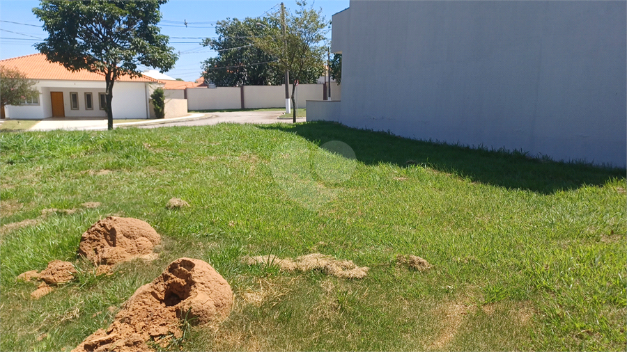 Foto REO1096197