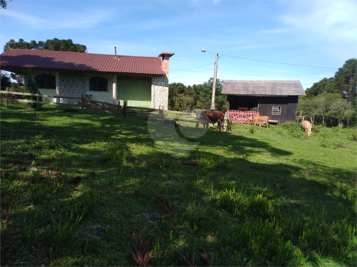 Foto REO1096199