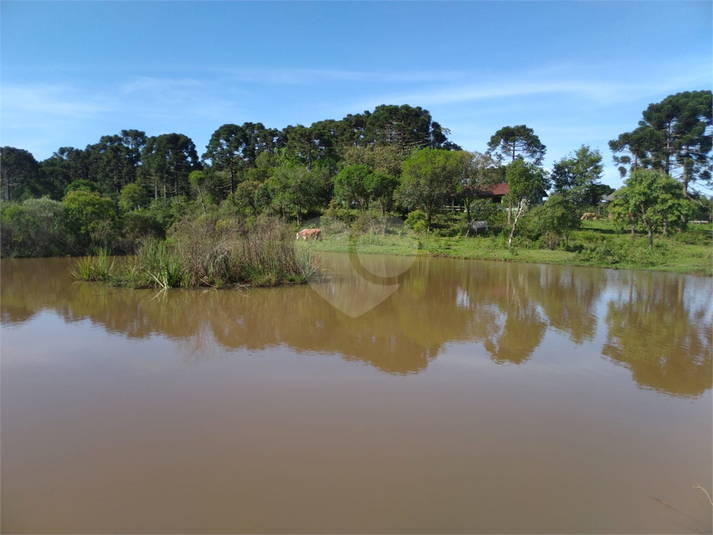Foto REO1096199