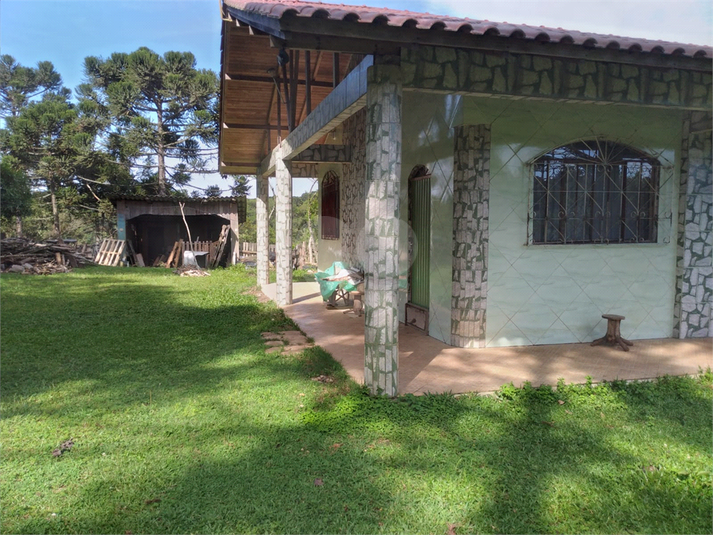 Foto REO1096199