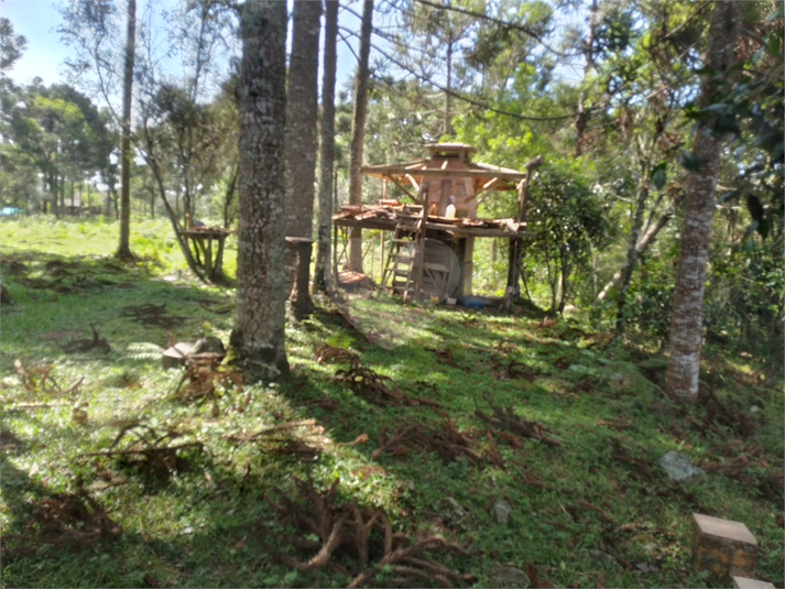 Foto REO1096199