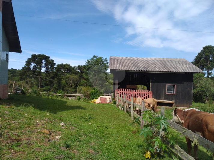 Foto REO1096199