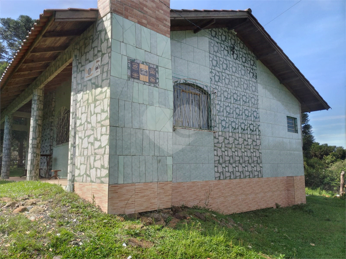 Foto REO1096199