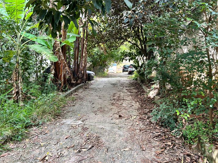 Foto REO1096202