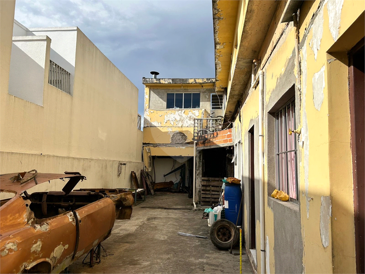 Foto REO1096202