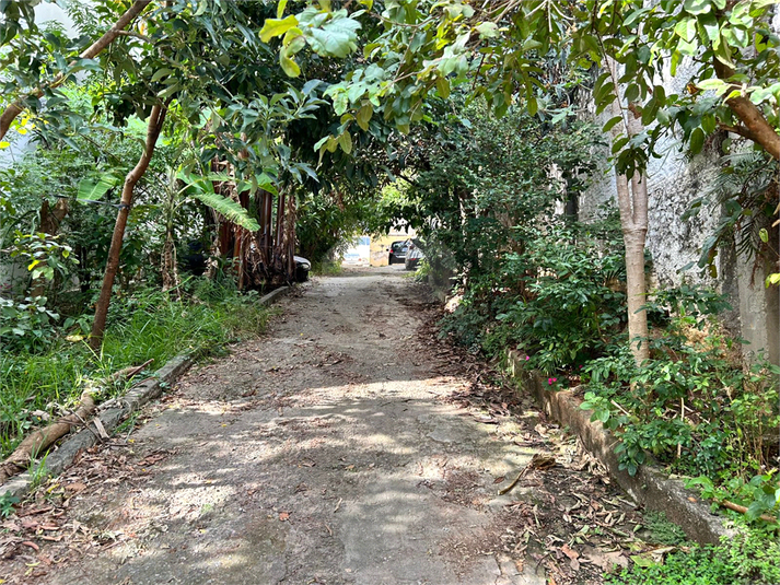 Foto REO1096202