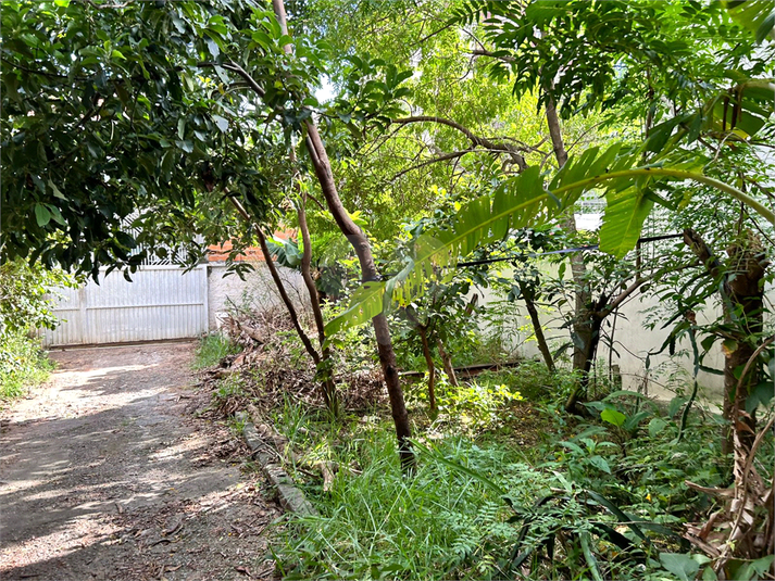 Foto REO1096202