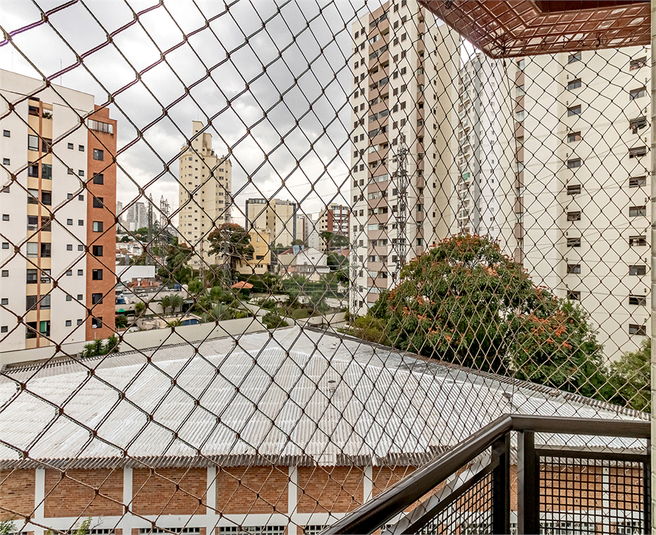 Foto REO1096203