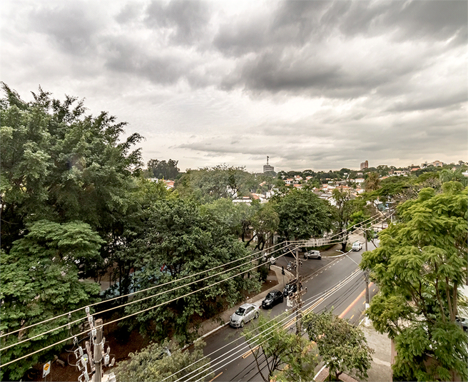Foto REO1096203