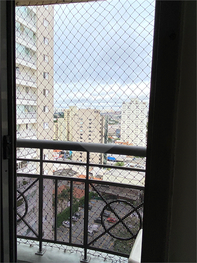 Foto REO1096220