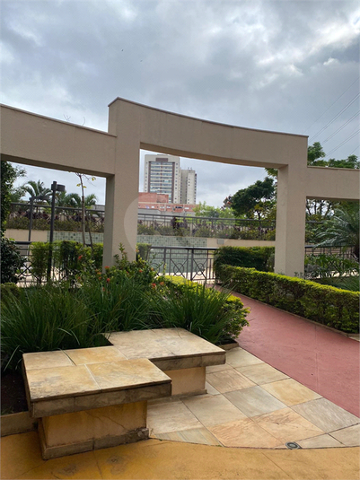 Foto REO1096220