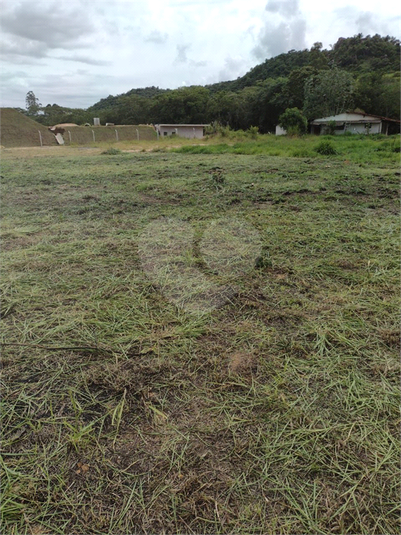 Foto REO1096232