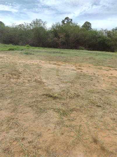 Foto REO1096232