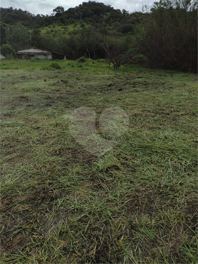 Foto REO1096232
