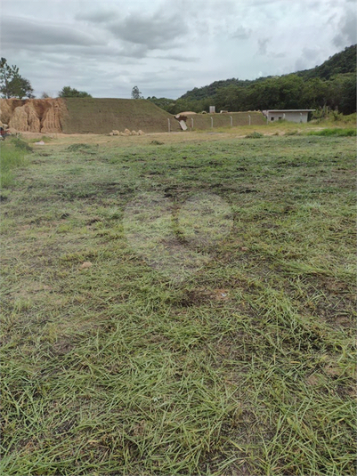 Foto REO1096232