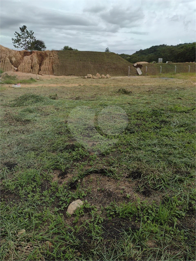 Foto REO1096232