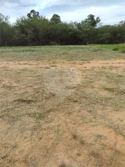 Foto REO1096232
