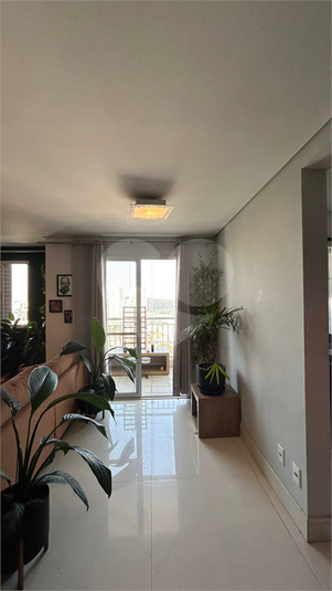 Foto REO1096234