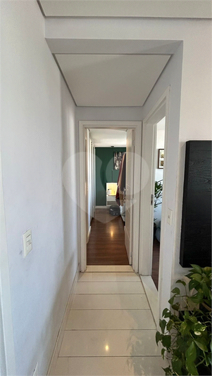 Foto REO1096234