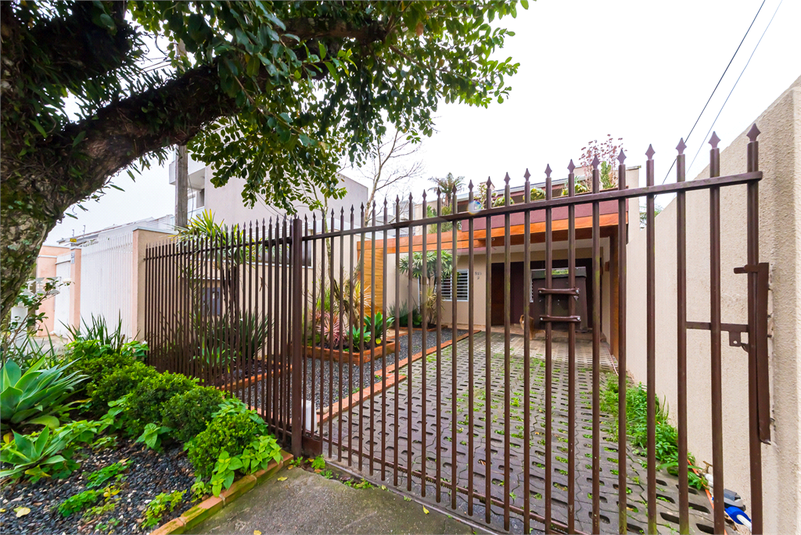 Foto REO1096242