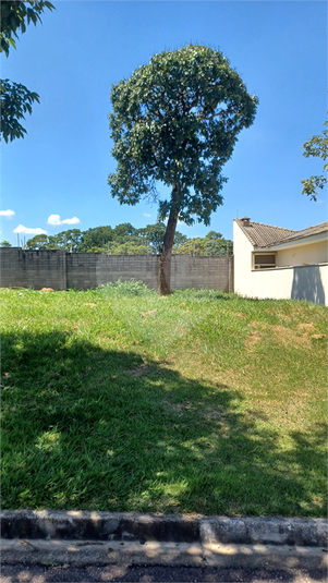 Foto REO1096244