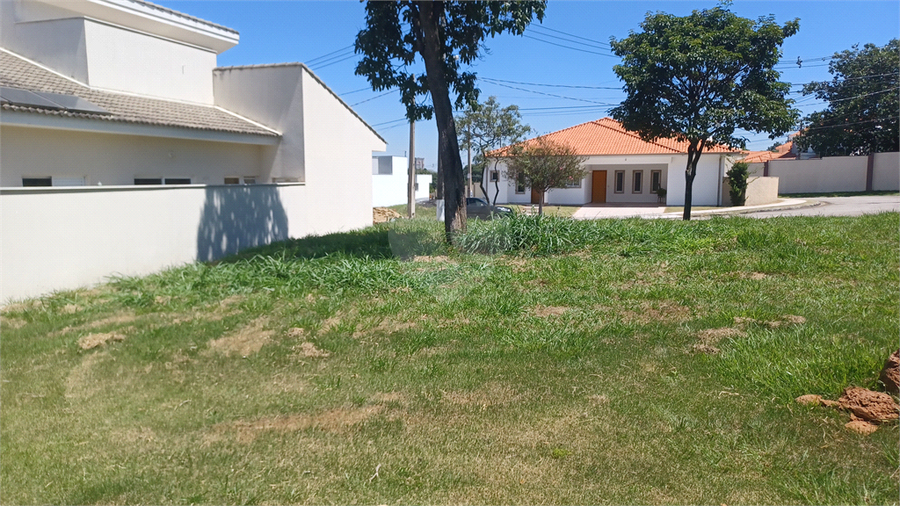 Foto REO1096244