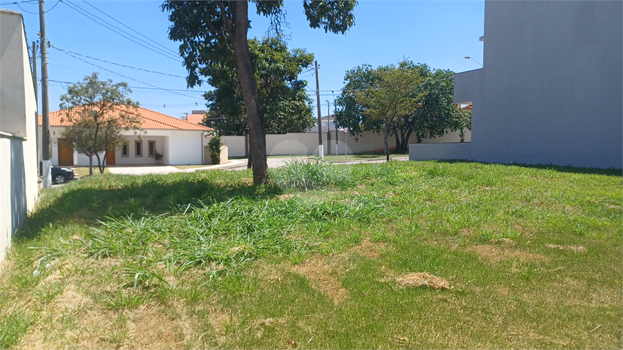 Foto REO1096244