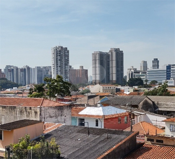 Foto REO1096263