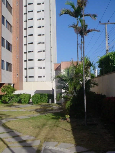 Foto REO1096279