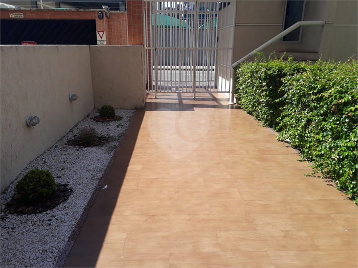 Foto REO1096279