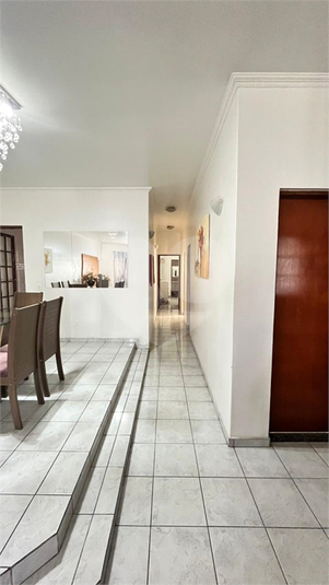 Foto REO1096280
