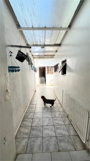 Foto REO1096280