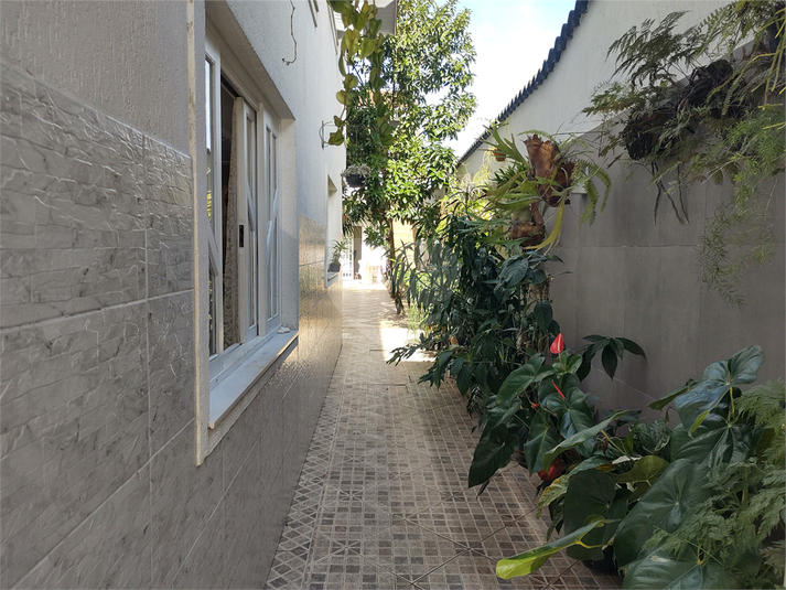 Foto REO1096291