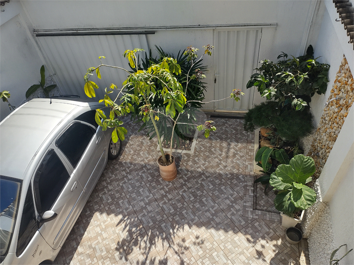Foto REO1096291